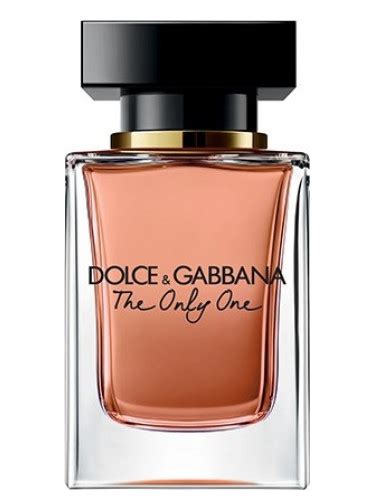 the only one 2017 dolce gabbana